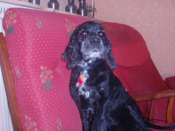 P1011562-scaled-1.jpg P1011562-scaled-1.jpg