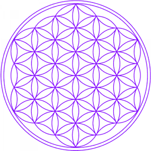 Purification harmonisation de l'habitat