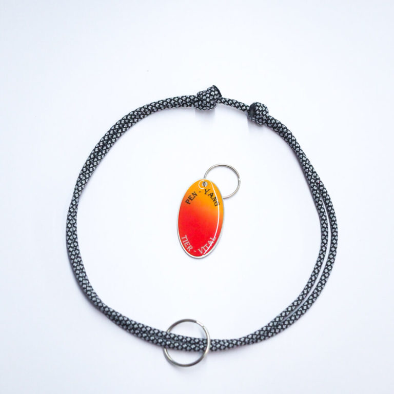 Ensemble médaillon et collier Animal Vitality