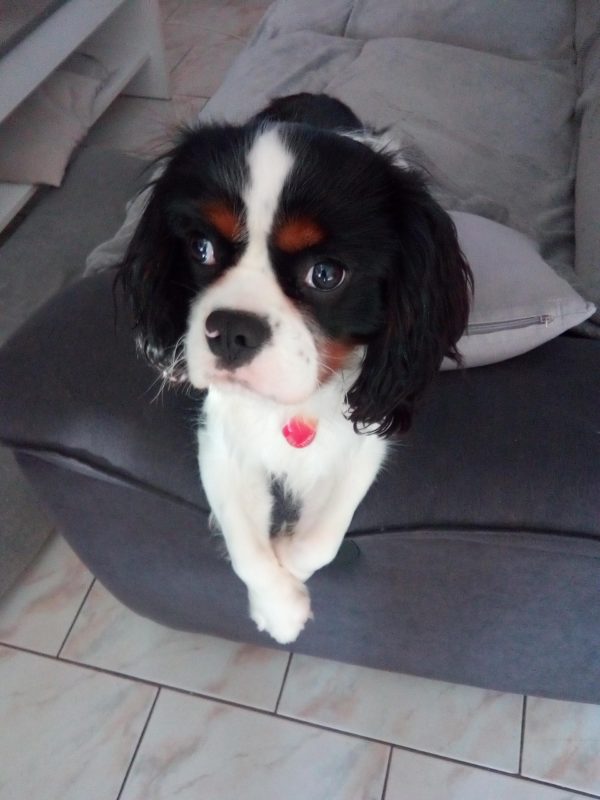 ulco p yang ulco p yang