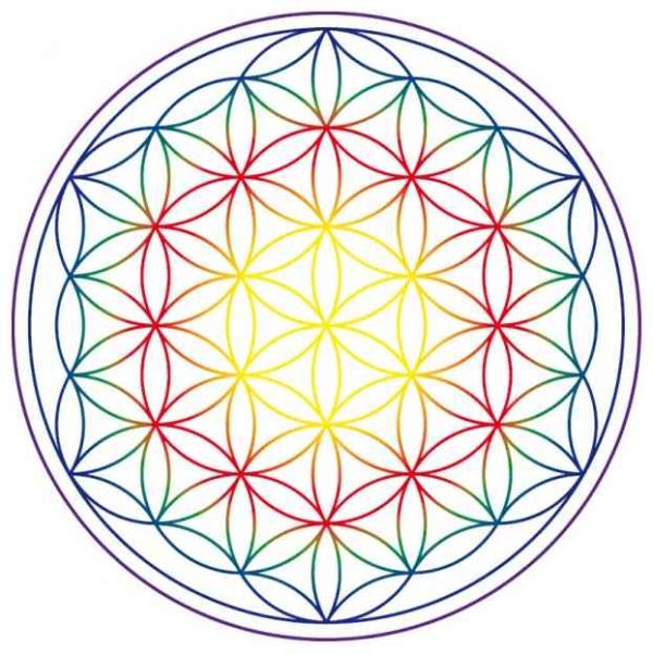 fleur de vie fleur de vie