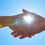 Purification & harmonisation