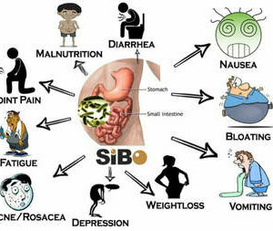Traitement éradication candidas albicans